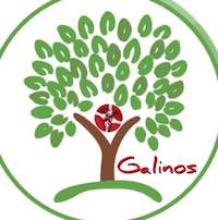 Galinos - Πανελλήνιος Σύλλογος Ασθενών με Ανοσοανεπάρκειες «Γαληνός»