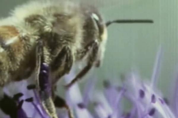 BGE Train the trainers - School of Biology AUTH